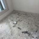 아너스 크리닝 | 대구 달서구 아파트 바닥 테이프 자국 제거 작업 후기 | 청심토탈케어 마루바닥 복원 청소