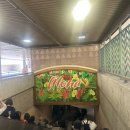 SKY현대태권도 | 대한항공 KE053 인천 - 하와이 호놀룰루 탑승후기 좌석 기내식, 하와이 입국심사