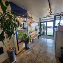 온다ONDA, 동해 이미지