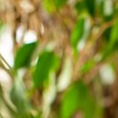 샤프(SHARP)성형외과의원 이미지