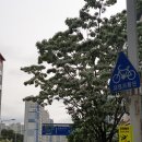 지하철역사(지족역) 이미지