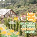 자연그린 | 충북 나들이 코스로 좋았던 청주 오창 카페, 숲이그린정원