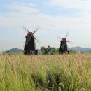 메이데이 이미지