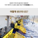 허니트리