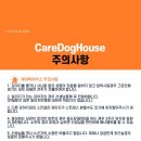 케어독 하우스 이미지