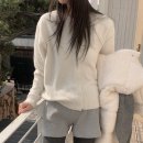 디 라운드 이미지