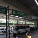 태국 아유타야 왓 보롬 풋타람(Wat Borom Puttharam)과 연필숲다리(싸판 빠 딘써) 걷기