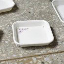 라이프스토리가드닝