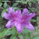 을해농장 이미지