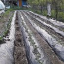 한얼농장 이미지