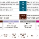 비비드미용재료