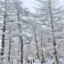 태기산 펜션 | 태기산 눈꽃산행 후기｜태기산 최단코스 양두구미재 눈썰매후기