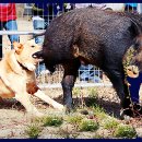 일화농장 이미지