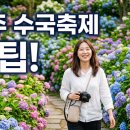 이마트24공주유구삼거리점 | 공주 수국축제 유구색동수국정원 2026년 후기! 기간, 주차, 개화시기 꿀팁 총정리!