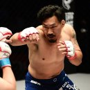 흑곰이다 이미지