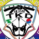 새고려태권도 네이버블로그