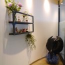 오아시스스킨앤바디
