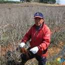 김만수농장 이미지