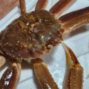 영덕대게 이미지