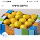 감귤바람