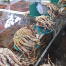 주문진 수산 이미지