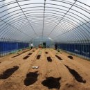 용성농약사 이미지