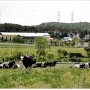 태신목장 이미지