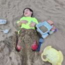 육아맘 공부! 아동심리상담사 자격증 한국직업능력진흥원 무료로 취득해본 후기