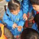 화인유치원 이미지