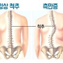 킴스필라테스 네이버블로그