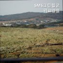 SMS 그린힐 군위요양원