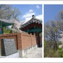 청송심씨묘역 이미지