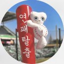 인덕원라이브 | 26년 5월 사진일기 | 개똥이들아 사당행♥