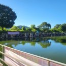 지정낚시터 | 제3회 조치원낚시터 붕어낚시대회(SUMMER FESTIVAL) 후기