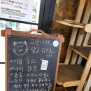 귤한가