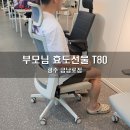 01-51 동구 | 전북 시디즈의자 T80 체험 및 할인 추석 효도선물로 좋은 시디즈T80 최저가 무료배송
