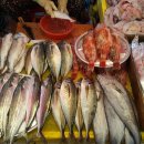 중앙동233 이미지