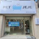 펫제제(PET JEJE) | [대구 북구] 침산동 강아지 미용 전문샵 추천 - 펫제제