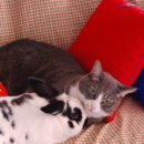 사랑스런 나의 가족... 이미지