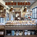 앞산 맛둘레길 바닥 | 대구 앞산 카페 베이글 맛집 브리에브레드