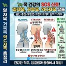 역전성인PC | 🐢 일자목 거북목 역C자목 원인 증상 예방법 교정 도수치료 운동치료 후기까지 총정리