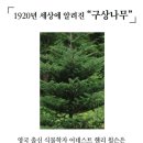 나무홈케어