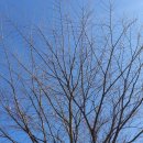 선바위민물매운탕 | 천장어 과천 장어맛집 해태OB모임장소 추천