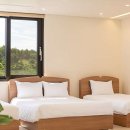 스테이다시올게 이미지