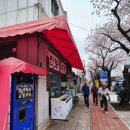 군항제 블랙이글스] 해군사관학교 블랙이글스 에어쇼 후기(+아이랑, 해군사관학교, 3정문가는법, 셔틀...