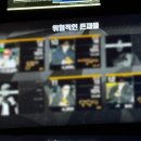 효정가든 | 춈미 롯데월드 다녀온 후기(Mingle with chommy)