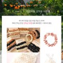 쁘띠순헤어