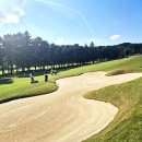 뉴코리아 이미지