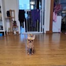 뚜뚜네 미용실 이미지