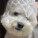 멈무는하루 이미지